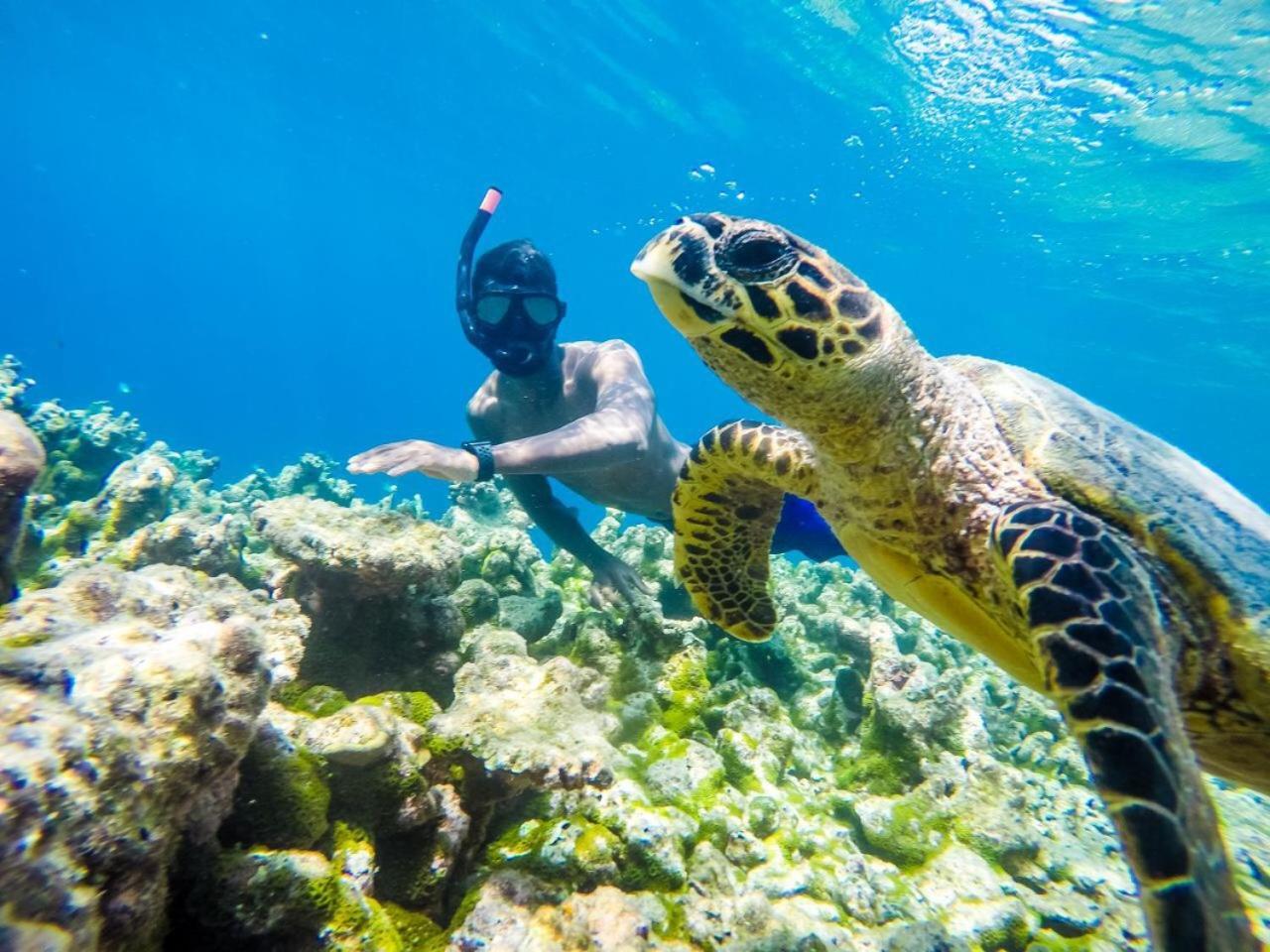 Old Town Inn Maldives Gaafaru Dış mekan fotoğraf