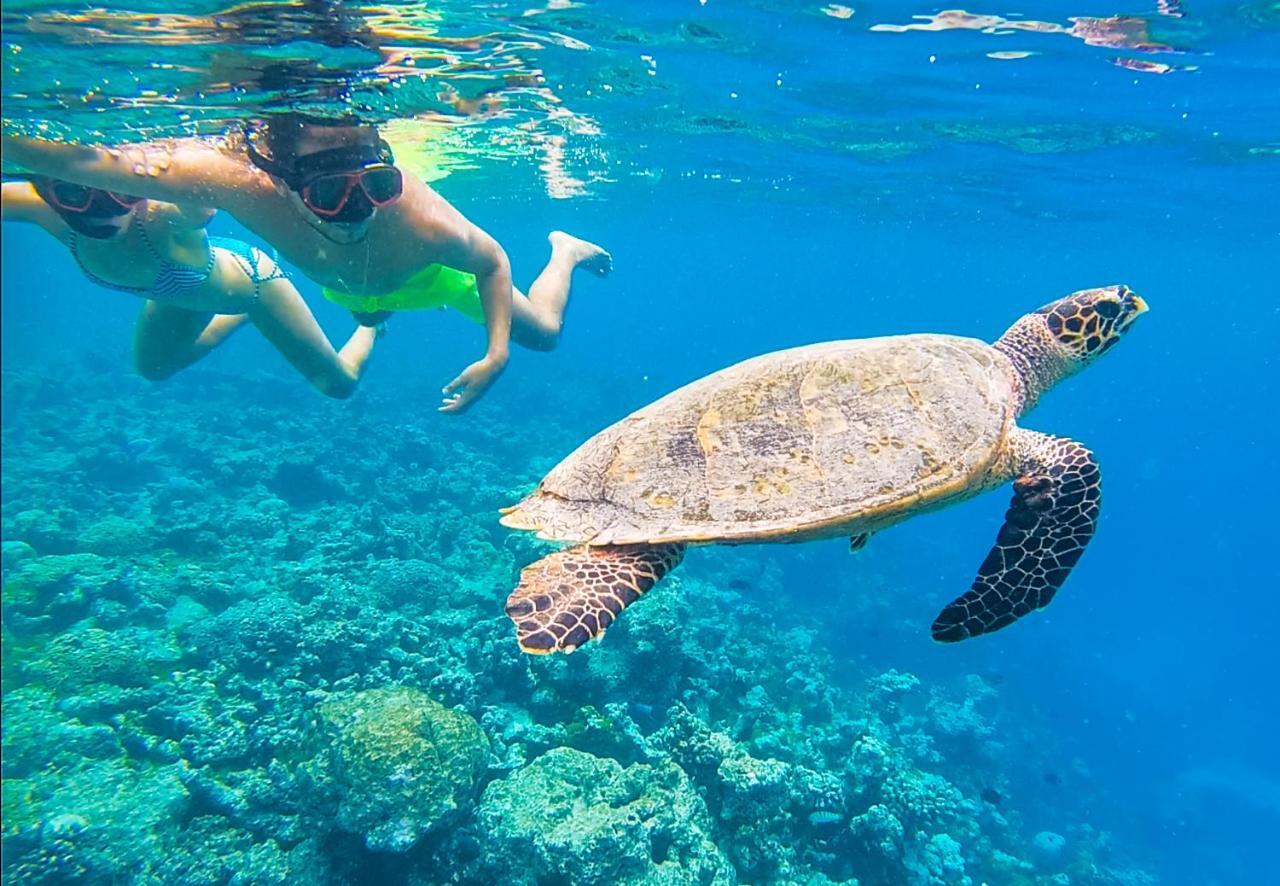 Old Town Inn Maldives Gaafaru Dış mekan fotoğraf