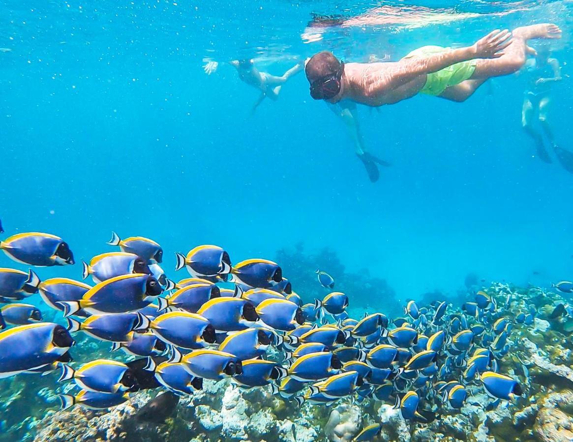 Old Town Inn Maldives Gaafaru Dış mekan fotoğraf